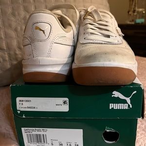 California Pumas